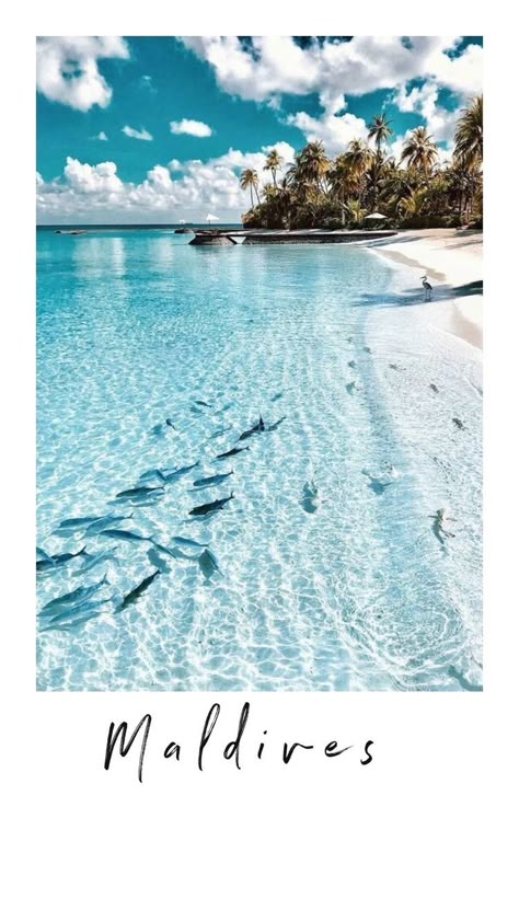 Travel Polaroids, Plane Tips, Photo Polaroid, Travel Picture Ideas, Dream Vacations Destinations, Travel Wallpaper, The Maldives, Dream Travel Destinations, Arte Inspo