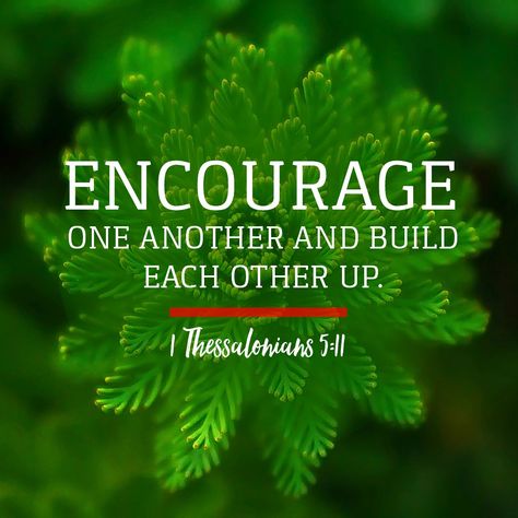 Kingdom Business, 1 Thessalonians 5 11, Growing Faith, Encourage One Another, Inside Man, Favorite Verses, Christian Counseling, 1 Thessalonians 5, Healing Music