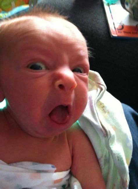 . Funny Baby Faces, Baby Jokes, Funny Baby Pictures, 얼굴 드로잉, Baby Memes, Very Funny Pictures, Really Funny Pictures, Funny Pics, الرسومات اللطيفة