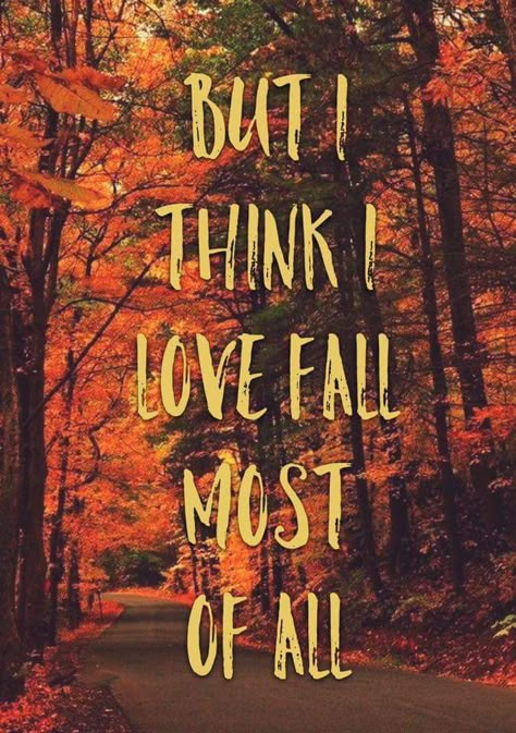 I KNOW I love Fall most of all!!!! I Love Fall, Autumn Scenes, Autumn Quotes, Love Fall, Autumn Scenery, Fall Feels, Happy Fall Y'all, Autumn Beauty, Fall Pictures