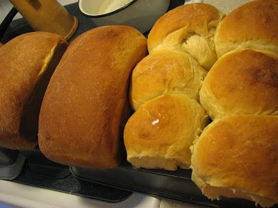 Tangzhong Method, Cake Receipe, Japanese Milk Bread, Milk Bread Recipe, Japanese Bread, Tasha Tudor, Dinner Roll, Yeast Breads, Milk Bread