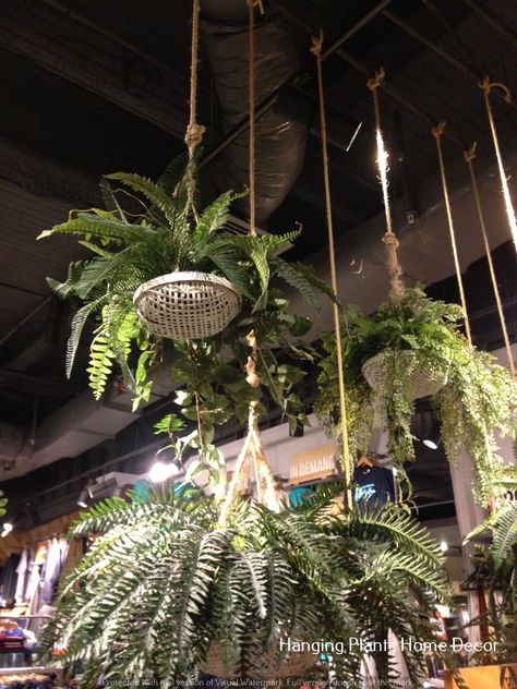 Hanging art-hanging plant hanging garden Restaurant Hanging Plants, Hanging Plant Installation, Ceiling Plants, Cafe Design Inspiration, Hanging Plants Outdoor, Plant Installation, Plant Hanging, Decoration Restaurant, Ceiling Hanging