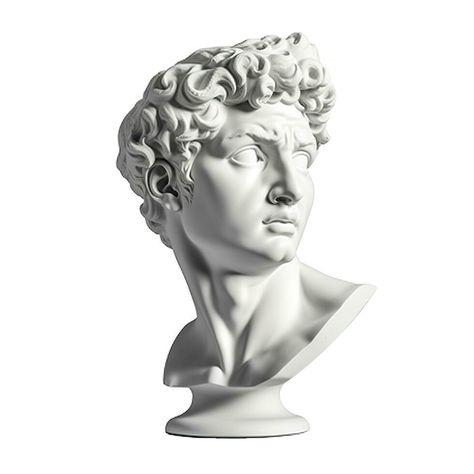 Gypsum statue of David's head. Michelangelo's David statue plaster copy isolated on white background. Ancient greek sculpture, statue of hero, generate ai Head Statue Greek, Greek Head Sculpture, David Head Sculpture, Greece Statue, Statue Face, Greek Sculptures, Michelangelo David, David Michelangelo, Sustained Investigation