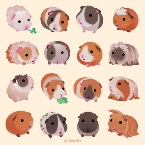 Pig Drawing, Pig Illustration, Cute Guinea Pigs, Cute Kawaii Drawings, Fnaf Art, Kawaii Drawings, Childrens Illustrations, Guinea Pig, Art Show