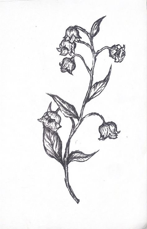 Grunge Flower Tattoo, Victorian Flowers Tattoo, Ornate Flower Tattoo, Vintage Plant Tattoo, Sketched Tattoo, Alternative Flower Tattoo, Countryside Tattoo, Botanical Tattoo Ideas, Vintage Looking Tattoos