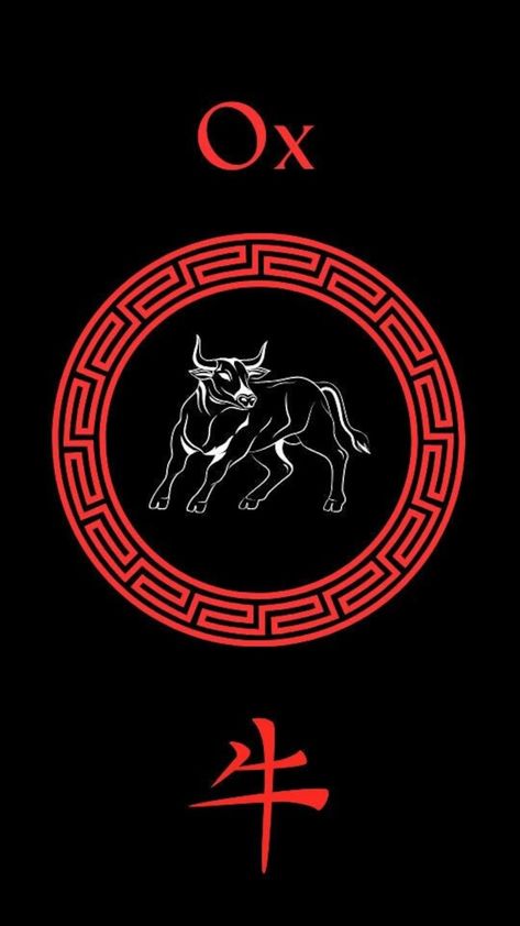 12 Chinese Zodiac Signs, Dragon Snake, Influence People, Special Video, How To Influence People, Chinese Zodiac Signs, Chinese Zodiac, Psychic Readings, An Animal