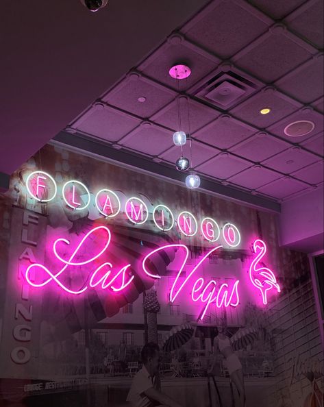 Aesthetic Flamingo, Tourist Aesthetic, Flamingo Hotel Las Vegas, Pink Las Vegas, Las Vegas Aesthetic, Vegas Vibes, Vegas Aesthetic, Flamingo Las Vegas, Flamingo Hotel