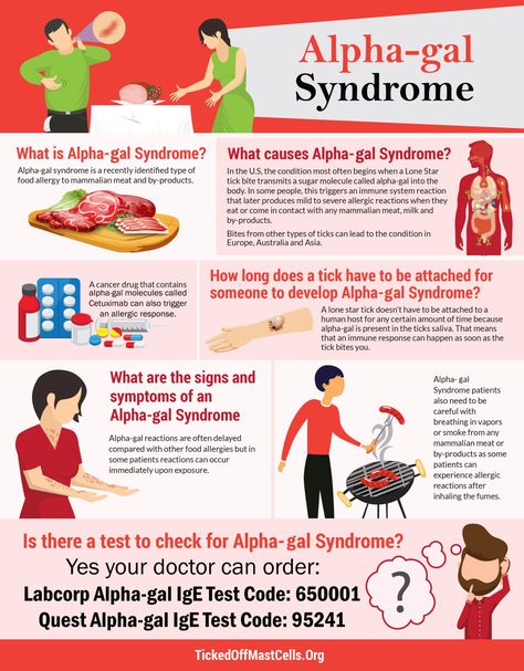 Alpha Gal Syndrome, Types Of Ticks, Histamine Foods, Alpha Gal, Cloud Quotes, Mast Cell Activation Syndrome, Tick Bite, Allergy Awareness, Low Histamine