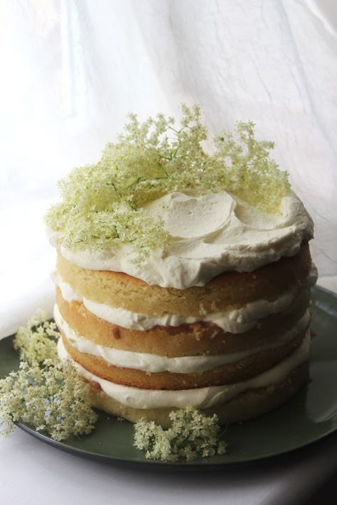 Gooseberry and Elderflower Layer Cake | tassybakes Elderberry Cake, Gooseberry Cake, Elderflower Cheesecake, Gooseberry Cake Recipes, Elderflower Cake Recipe, Lemon And Elderflower Cake, Elderflower Recipes, Gooseberry Recipes, Cute Desserts