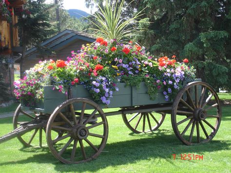 Overflowing Farm Wagon. Beautiful. Wagon With Flowers, Wagon Planter, Farm Wagons, Garden Wagon, Wagon Wheels, Wheelbarrows, Old Wagons, Garden Cart, Flower Cart