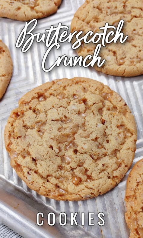 Butterscotch Crunch Cookies! An old-fashioned cookie recipe with brown sugar and toffee bits for double the butterscotch flavor and toasted pecans for crunch. Freeze and cut for picture-perfect cookies any time you have a craving! Chewy Butterscotch Cookies, Things To Make With Butterscotch Chips, Butterscotch Shortbread Cookies, Skor Cookies Recipes Toffee Bits, Crunchy Cookie Recipes, Best Ever Cookies, Recipes With Powdered Sugar, Unique Cookies Recipes, Caramel Crunch Cookies