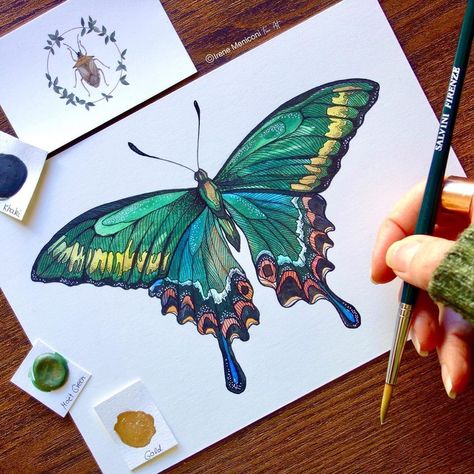 SuccessArtPainting 1040 🦋 Cool Butterfly Design, Moth Watercolor Painting, Butterfly Watercolor Painting, Watercolor Butterfly, Flower Pattern Drawing, Butterfly Artwork, Butterfly Art Painting, Moth Art, Diy Watercolor Painting