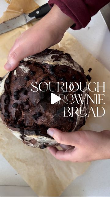 Amanda Hansen | sourdough for healing on Instagram: "Comment “RECIPES” to grab our incredible Double Chocolate Sourdough Brownie Bread recipe along with 60+ other gut-friendly sourdough versions of your favorite treats and every day swaps for 20% off this week for back to school. *We use only active or inactive (discard) starter. No commercial yeast!*  My top 10 favorite recipes in our cookbook (physical version is currently sold out) are:  ✨ Fluffy Sourdough Sandwich Bread (we have a free recipe download of this, just click the 🔗 in bio)  ✨ Chewy and fluffy sourdough bagels  ✨ Sourdough Cinnamon and Orange Rolls  ✨Heavenly Hydrated Sourdough Artisan Bread  ✨Artisan Sourdough Pizza Crust  ✨ Our Viral Browned-Butter Sourdough Discard Chocolate Chip Cookies  ✨ The best Discard Banana Bread Double Chocolate Brownie Sourdough Bread, Chocolate Brownie Sourdough Bread, Brownie Sourdough Bread, Hybrid Sourdough Bread, Double Chocolate Sourdough Bread, Chocolate Chip Sourdough Bread, Brownie Bread Recipe, Bagels Sourdough, Sourdough Discard Chocolate Chip Cookies