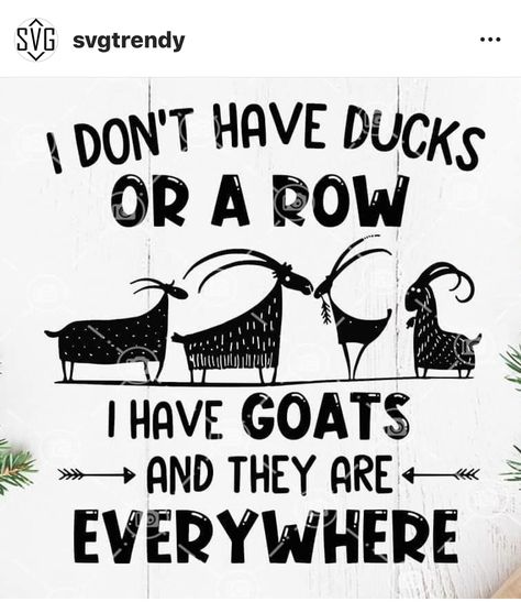 Goat Sayings, Goat Quotes, Goat Quote, Goat Pen, Happy Goat, Cricut Projects Easy, Feeding Goats, Americana Crafts, Farm Craft