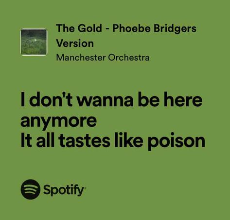 The Gold Phoebe Bridgers, Always Lyrics, Manchester Orchestra, Bad Memes, Phoebe Bridgers, Perks Of Being A Wallflower, Favorite Lyrics, English Vocabulary Words Learning, Cool Lyrics