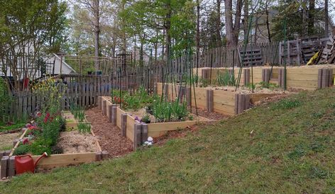 Flowers In Raised Beds, Garden On A Slope, Terraced Vegetable Garden, Terraced Garden, Terrace Garden Ideas, Vegetable Garden Planner, Planner Review, Potager Garden, Sloped Garden