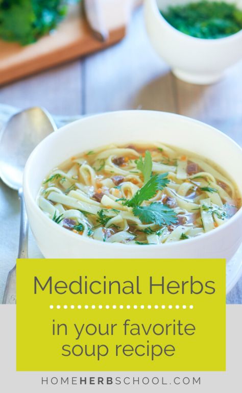 Discover how cooking with medicinal herbs in your favorite soup recipe is easy and great tasting. These delicious herbal medicines include garlic, nettles, shiitake, burdock, thyme, oregano, dandelion, reishi and astragalus. Herbal Soup Recipes, Medicinal Cooking, Cooking Herbs, Wfpb Recipes, Food Medicine, Herbal Recipes, Herbs For Health, Easy A, Witchy Stuff