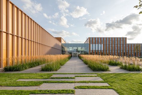 Moving the Head Quarters for a corporation to an outlying district is a very bold move, even if the mentioned enterprise is in agriculture service. The biggest challenge was to create a certain environment that would invite and attract customers, guests, and employees to the building even in the middle of the countryside. Industrial Garden, Agricultural Buildings, Building Front, Garden Canopy, Industrial Architecture, Industrial Park, Urban Industrial, Factory Design, Parking Design