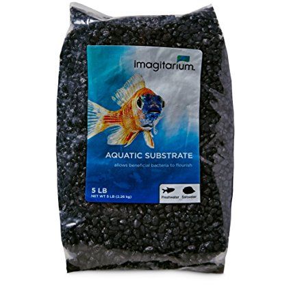 Imagitarium Frosted Black Aquarium Gravel, 5 lbs Black Aquarium, Aquarium Substrate, Purple Punk, Fish Tank Gravel, Fish Rocks, Aquarium Gravel, Fish House, Water Gardens, Marine Environment