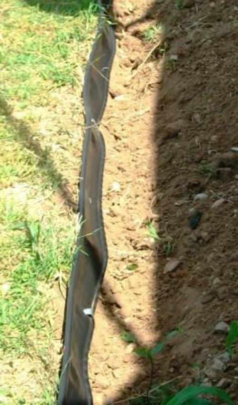 How to Install Plastic Lawn Edging Around a Flower Bed | HubPages Plastic Landscape Edging, Plastic Lawn Edging, Grass Weeds, Front Flower Beds, Landscape Borders, Pulling Weeds, Plastic Edging, Landscape Edging, Lawn Edging