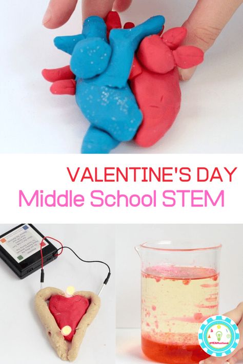 Valentine STEM Activities for Middle School Valentines Middle School, Stem Activities For Middle School, Stem Valentines, Valentine Science Experiments, Valentine Stem Activities, Stem Activities Middle School, Valentine Stem, Science Lessons Middle School, Science Valentines