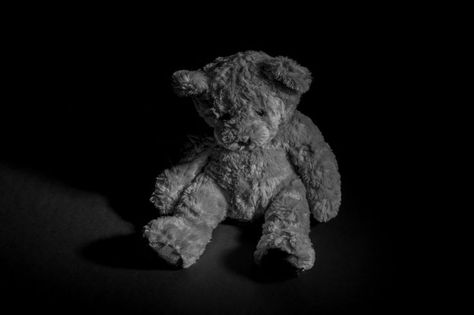 High Key Lighting Photography, High Key Lighting, Bear Portrait, Low Key Photography, Low Light Photography, Object Photography, Art Theme, My Gallery, Toys Photography