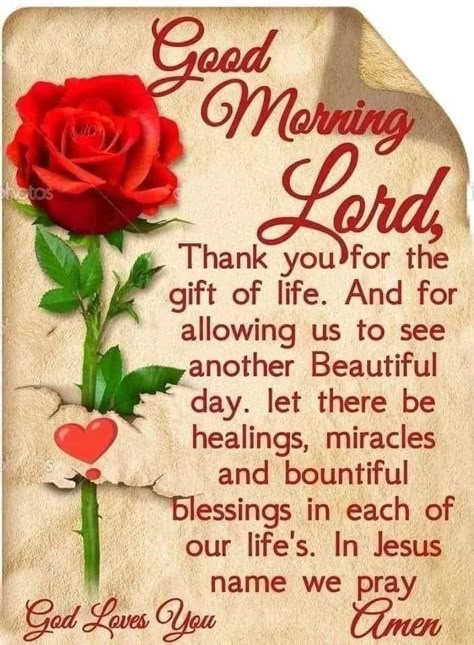 Morning Family Quotes, Good Morning Family Quotes, Good Morning Bible Quotes, Good Morning Family, Morning Bible Quotes, Christian Good Morning Quotes, Christian Good Morning, Good Morning Prayer Quotes, Godly Women Quotes