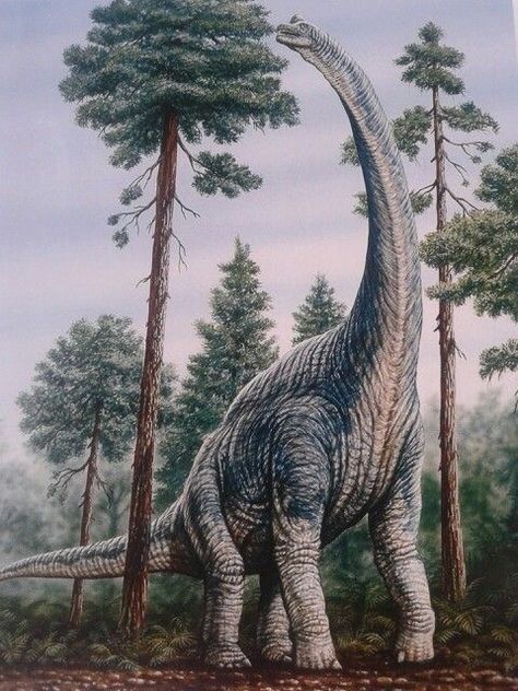 Brachiosaurus Dinosaur Photography, Long Neck Dinosaur, Dinosaur Era, Prehistoric Wildlife, Dinosaur Wallpaper, Dinosaur Pictures, Dinosaur Illustration, Prehistoric World, Jurassic World Dinosaurs