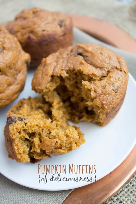 Recipe For Muffins, Healthy Pumpkin Muffins, Muffins Blueberry, Healthy Muffin, Pumpkin Muffins Easy, Pumpkin Recipes Healthy, Pumpkin Muffin Recipes, Healthy Muffin Recipes, Zucchini Muffins