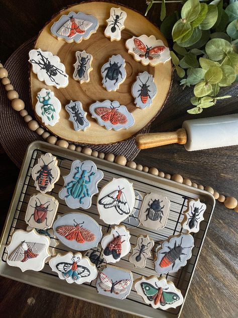 Bug Decorated Cookies, Insect Cookies Decorated, Bug Cookies Decorated, Bug Sugar Cookies, Bug Party Decorations, Bug Decorations, Insect Cookies, Bug Birthday Cakes, Bug Cookies