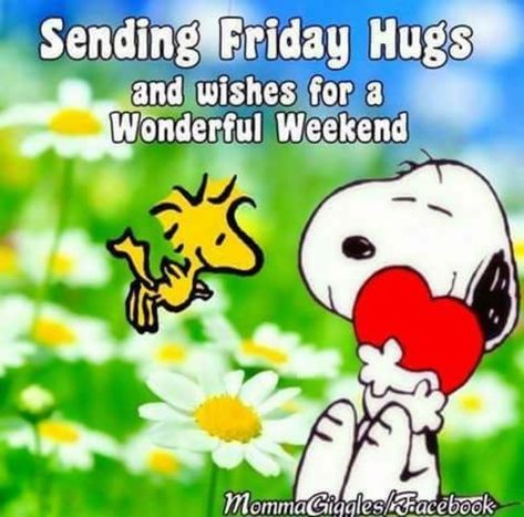 Good Morning Snoopy Quotes, Snoopy Quotes Funny, Sending Hugs Quotes, Snoopy Friday, Snoopy Hug, Hug Images, Morning Hugs, Good Morning Hug, Good Morning Snoopy