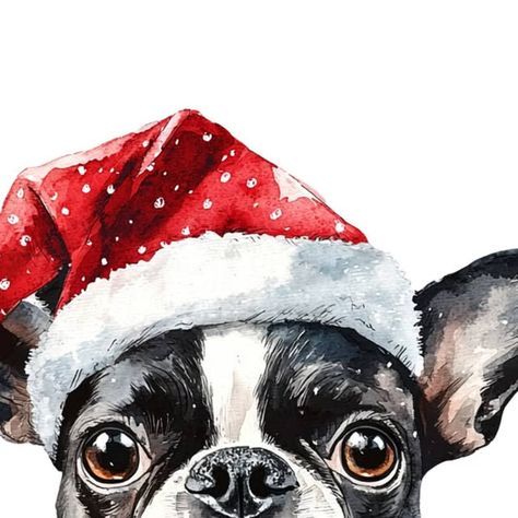 Boston Terriers Land on Instagram: "🎅🏼 Watercolor Painting Boston Terrier Christmas 🎅🏼 ❤ Buy Funny Boston T-Shirt on Amazon, Just $13.99. Link in my Bio: @bostonterrier.land  ❤ Follow me: @bostonterrier.land ========================= Double Tap & Tag a Friend below⤵  #bostonterriersofinstagram #bostonterrierpuppy #bostonterrierdog #bostonterrier #bostonterriers #bostonterrierlovers #bostonterrierlover #bostonterriersofig #bostonterrierig #cutebostonterrier #bostielife #bostielovers #cutebostie #bostiesofinstagram #bostiestyle #bostiepuppy #dailybostie #bostiedog #bostieguru #bostonterriergram #dogsofinstagram #cutedogs #doglife #bostonterriermom" Boston Terrier Christmas Card, Vintage Boston Terrier, Boston Terrier Illustration, Cute Boston Terrier, Boston Terrier Christmas, Boston Terrier Lover, Watercolor Eyes, Boston Terrier Puppy, Boston Terrier Dog