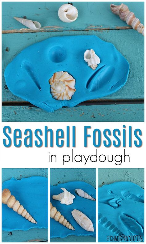 Seaweed Activities For Preschool, Seashell Preschool Craft, Ocean Art Preschool Activities, Reggio Ocean Activities, National Sea Week Activities, Under The Sea Playdough, Ocean Animals Sensory Activities, Infant Ocean Activities, Toddler Under The Sea Activities