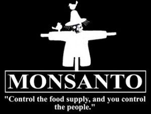 Monsanto's Crimes Against Humanity Genetically Modified Food, Gmo Foods, Global Food, Food Supply, We Are The World, Genetically Modified, Fast Track, The Well, Wake Up