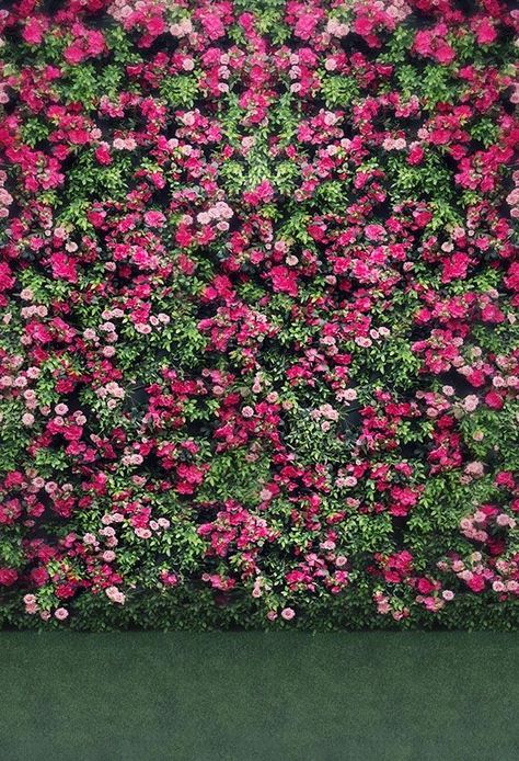 Photo wall wedding backdrop