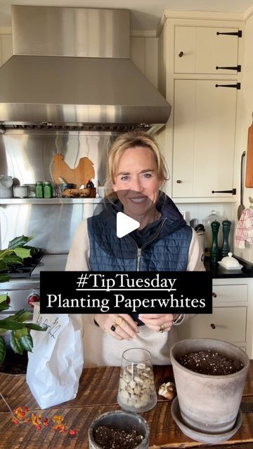 Hungry for Home on Instagram: "Happy #TipTuesday! Every year around Thanksgiving, I plant paperwhite bulbs, and by Christmas, these fragrant little blooms fill the house with so much joy. They’re one of my favorite ways to bring a touch of the season indoors. As they grow taller, I tie a festive ribbon around them to keep them upright. If you’ve never tried paperwhites, give them a go this year.  . . . #tiptuesday #flowers #flower #paperwhites #festive #tradition #holidays #gardentips #garden #flowerbulbs #holidaydecor #decor #plant #plants" Planting Paperwhites Indoors, Paperwhites Containers, Christmas Paperwhites, Paperwhites Christmas, Paperwhite Flowers, Grow Taller, Garden Containers, How To Grow Taller, Room With Plants