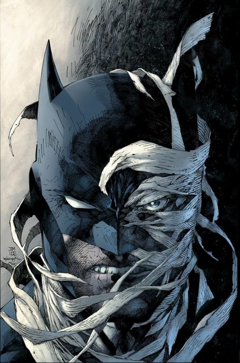 Hush Art, Bale Batman, Jim Lee Batman, Jim Lee Art, Poison Ivy Batman, Batman Hush, Bob Kane, Batman Poster, Batman Artwork