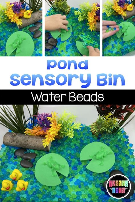 Duck Pond Sensory Play, Frog Lessons For Preschool, Duck Pond Sensory Bin, Animal Habitat Sensory Bin, Pond Life Sensory Bin, Habitat Sensory Bins, Ponds Preschool Activities, Frog Science Activities For Preschool, In The Pond Preschool Theme