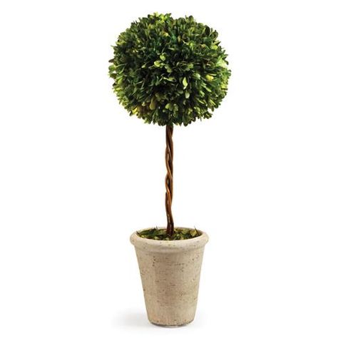 Topiary Decor, Preserved Boxwood Topiary, English Boxwood, Preserved Boxwood, Artificial Plants And Trees, Boxwood Topiary, Construction Crafts, Silk Plants, Faux Florals