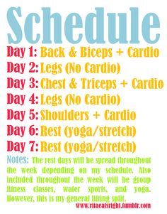 Cardio Workout Plan, Ladder Workout, Lifting Workouts, Workout Calendar, Ju Jitsu, Cardio Training, Workout Schedule, Weekly Workout, Getting Fit