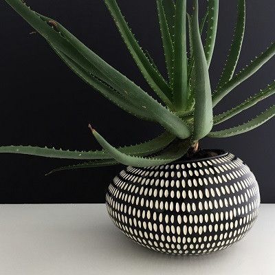 Home Decor Black And White, Painted Plant Pots, Home Decor Black, Decor Black And White, White Pebbles, White Planters, House Plants Decor, Minimal Decor, Pot Designs