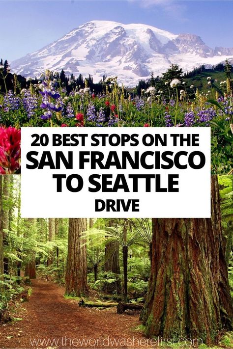 Seattle Road Trip, San Francisco Road Trip, Pch Road Trip, Pacific Coast Road Trip, West Coast Travel, Road Trip Map, Road Trip Places, West Coast Road Trip, Travel Route