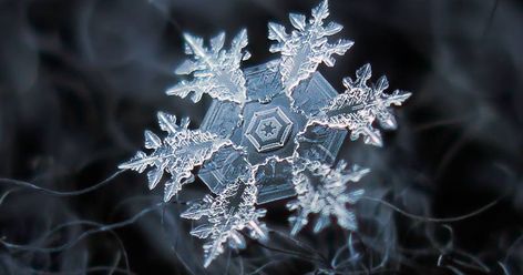 Snowflake Photography, Snowflake Pictures, Snowflake Images, Snowflakes Real, Macro Photographers, Subtle Background, Snowflake Photos, Photo Techniques, Snow Crystal