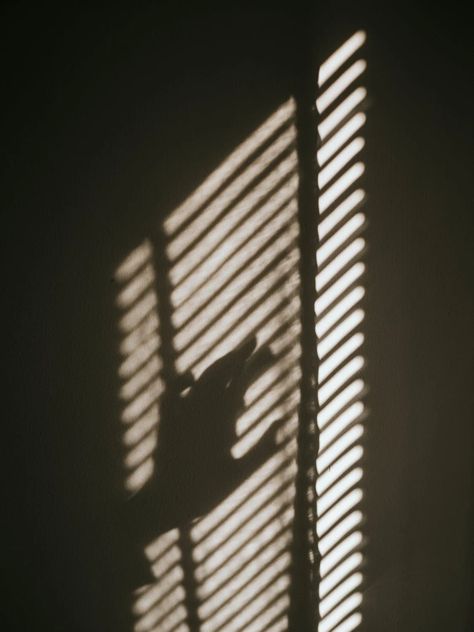 Window Blinds Shadow, Color Blind Aesthetic, Blinds Photoshoot, Blind Aesthetic, Hand Out Window Aesthetic, Closed Blinds Aesthetic, Window Blinds Photography, Ap Art, Blinds For Windows