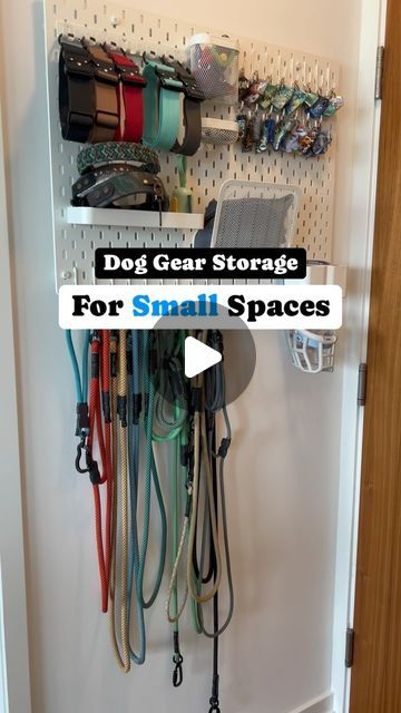 Dog Storage, City Dog, Small Space Storage, Dog Gear, The Apartment, City Living, Wall Spaces, Apartment Living, Storage Solutions