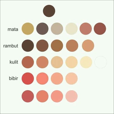 Skin Color Pallet, Skin Palette, Vector Face, Ibis Paint Brushes, Logo Game, Furniture Design Wooden, Skin Color Palette, Color Pallete, Palette Color