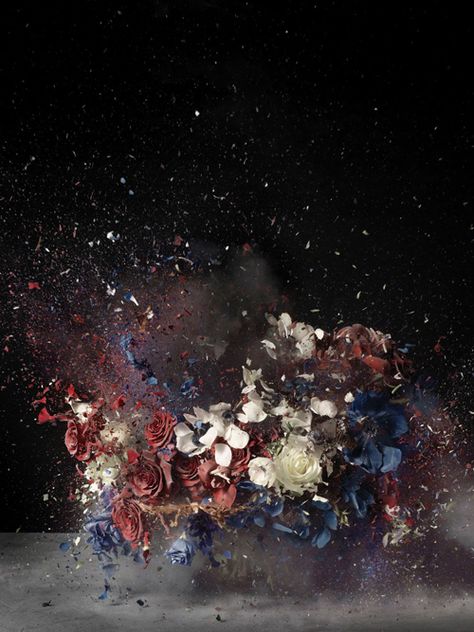 Red White, Flowers, Red, Blue, White, Black, Art