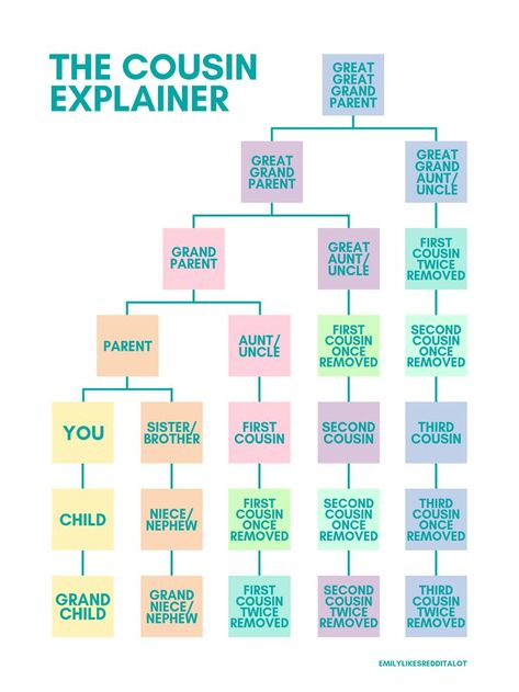 Family Relationship Chart, Family Tree Explained, Family History Organization, Family Tree Book, Free Genealogy Sites, Family History Projects, Genealogy Organization, Relationship Chart, Family Tree Research