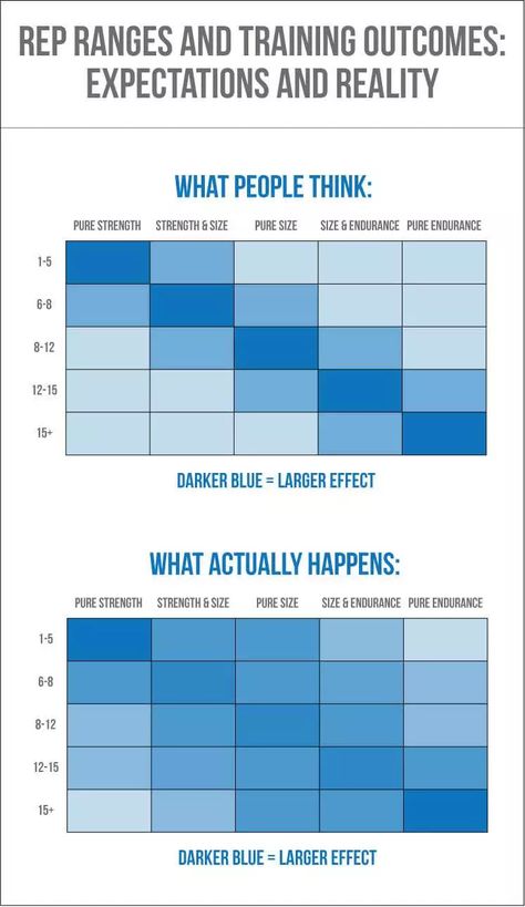 background information Rep Ranges, Fact Or Fiction, Basketball Moves, First Principle, Expectation Vs Reality, Workout Chart, Background Information, Easy Diy Art, Muscle Growth