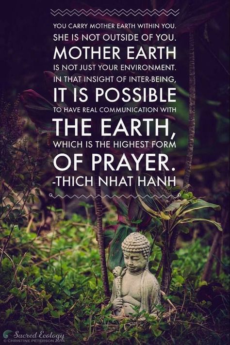 Mother Earth Quotes, Mystical Quotes, Universe Spirituality, Mother Nature Quotes, Thich Nhat Hanh Quotes, Earth Quotes, Nature Quotes Adventure, Earth Mama, Thich Nhat Hanh